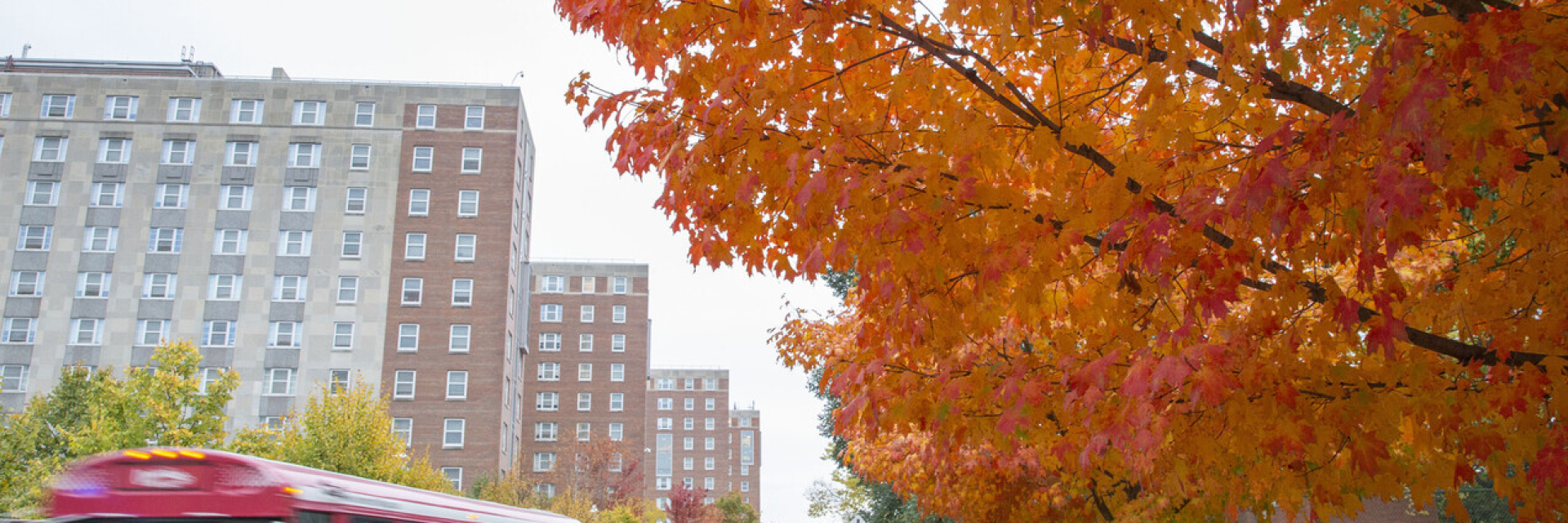 South Campus Residence Halls in the Fall