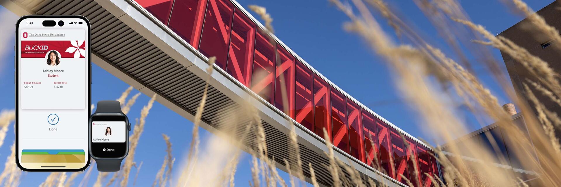 Scarlet Skyway in the Autumn